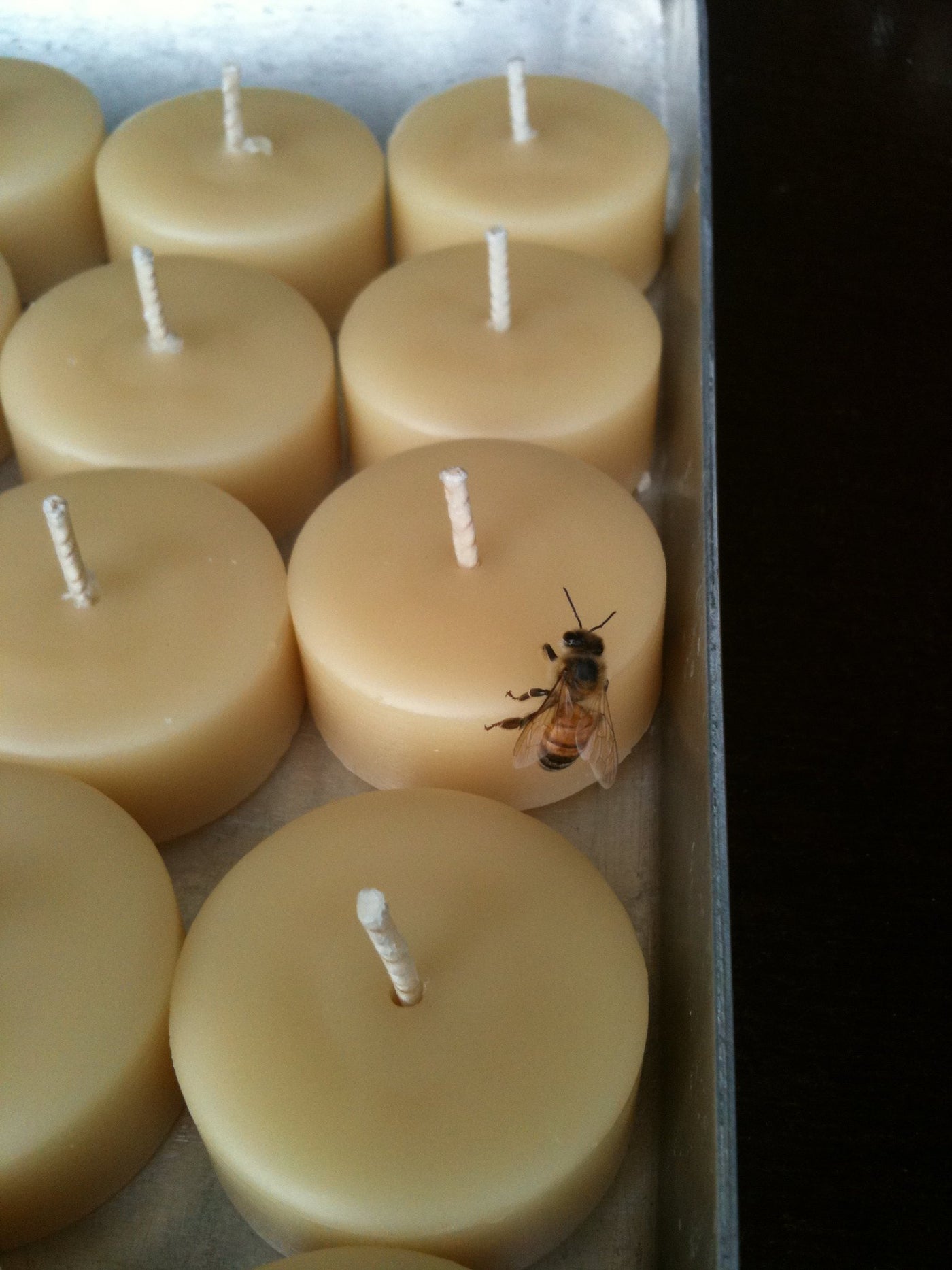 Queen B candles - 100% Pure Beeswax - as certified by the bees!