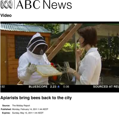 ABC News story - "Apiarists bring bees back to the city"