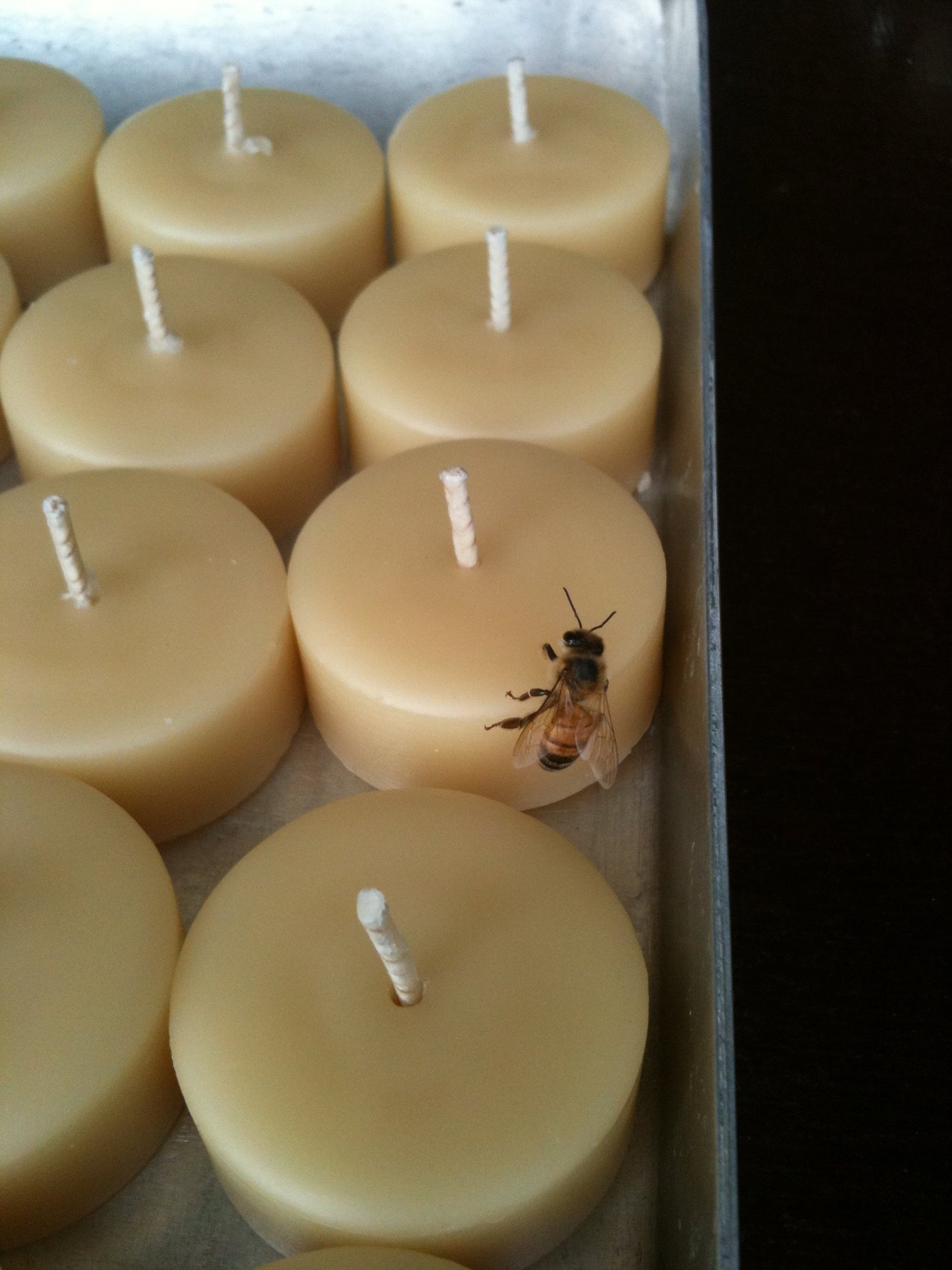 Beeswax Candles - 100% Pure Beeswax Candles