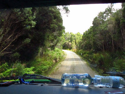 Beekeeping in the World Heritage Listed Leatherwood forests of Tasmania