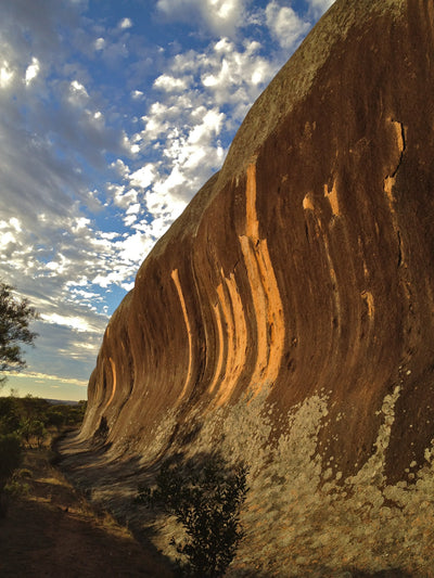 Highlights from the Nullarbor