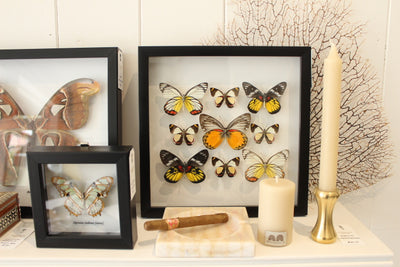 Queen B Candles at Hamptons House on Georgica Pond blog