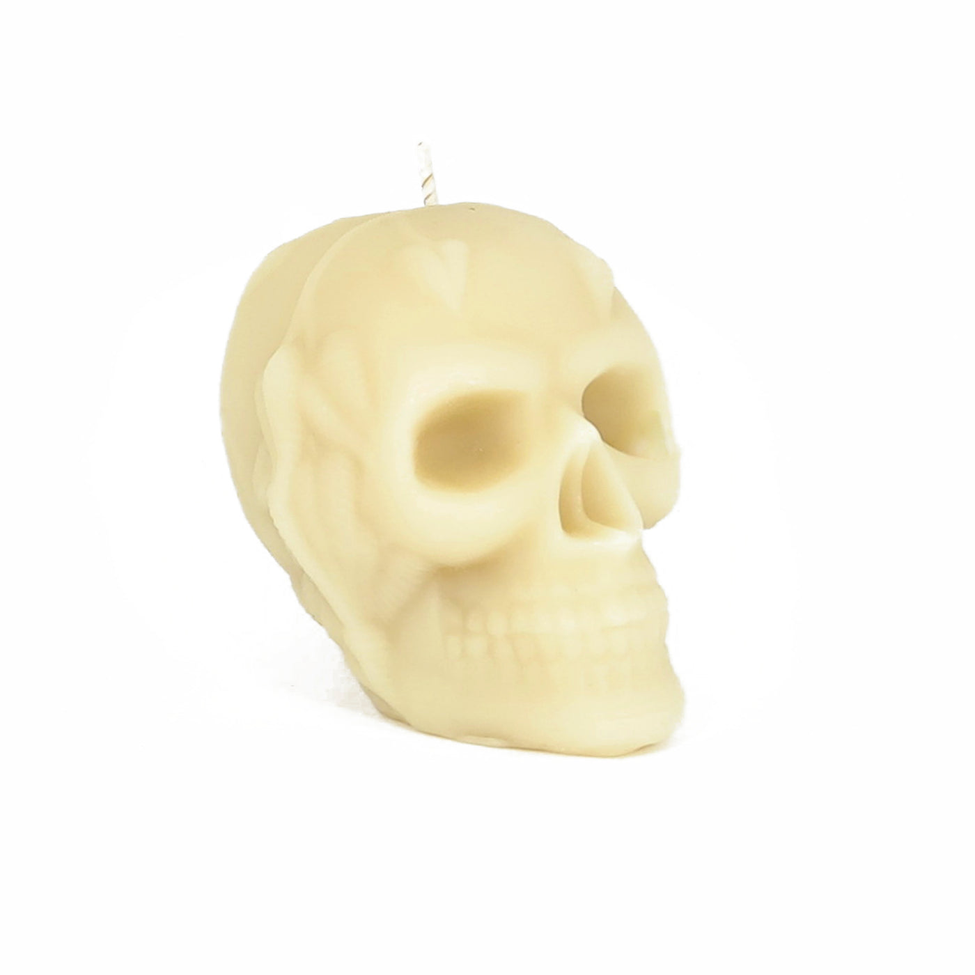 A World of True Imagination... launching our Skull Candle